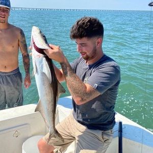 Meet your Posher, Cody